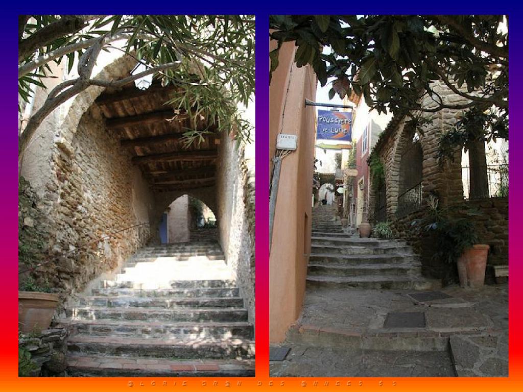 183 D24 BORMES LES MIMOSAS 2_000030.jpg